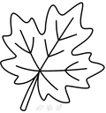Leaf Patterns