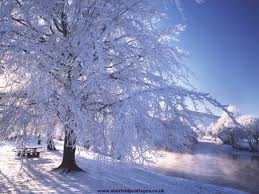Winter Blahs, To-Do List