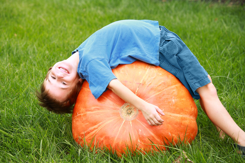 Recipes for Fall